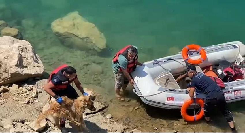 Baraj göletine düşen köpek bot yardımıyla kurtarıldı