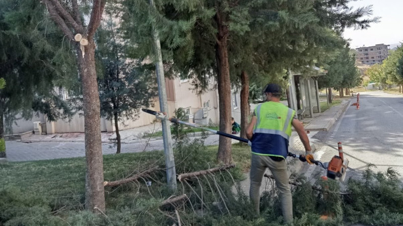 SONBAHAR'DA BUDAMA ÇALIŞMALARI BAŞLADI
