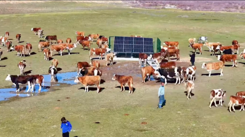 Kırsal Hayvancılığa Güneş Enerjili Çözüm : Serçe Parmak Projesi 40 Köye Ulaştı
