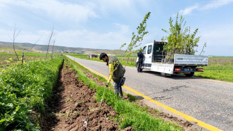 BATMAN’DA 7 KÖY YOLUNA NEFES: 3 BİN 300 MEYVE FİDANI DİKİLDİ