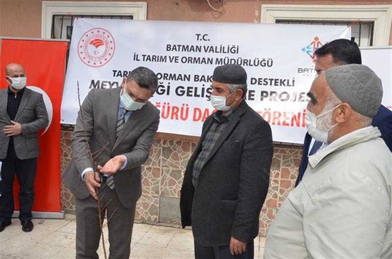 Fıstık ve badem fidanı dağıtımı yapıldı