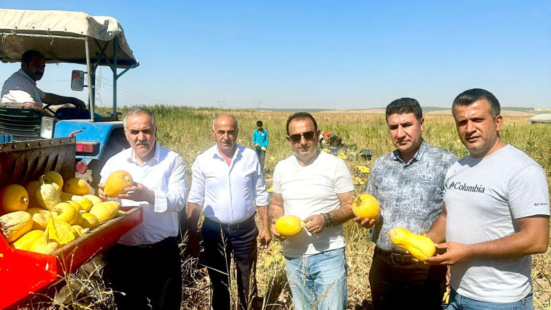 BALPINAR'DA ÇEREZLİK KABAK HASADI YAPILDI