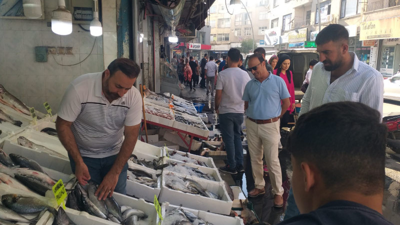 BALIK BOLLAŞTIKÇA FİYATLAR DÜŞECEK