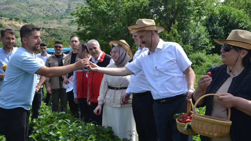 SASON ÇİLEĞİNDE İLK HASAT COŞKUSU!