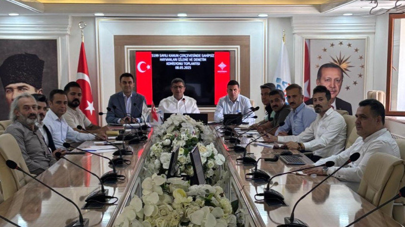 Sahipsiz Sokak Hayvanları Denetleme Komisyon toplantısı yapıldı