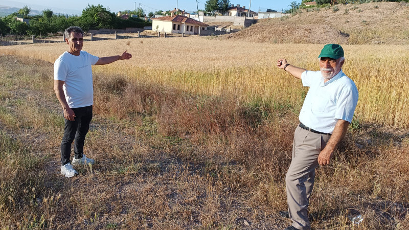 TARIM KÖY EVLERİ'NDE KAT TALEBİ
