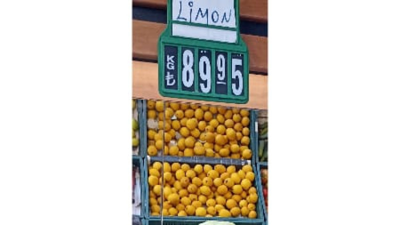 LİMONUN TADI KAÇTI; FİYATI 90 TL’YE DAYANDI!