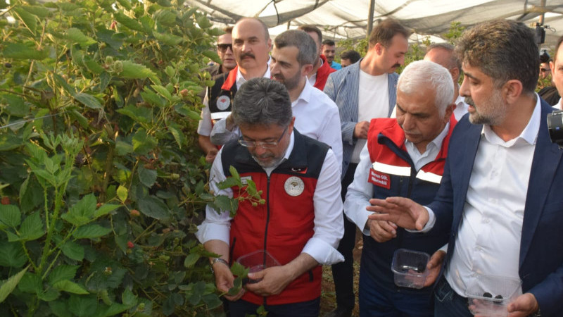 KURTALAN’DAN 35 ÜLKEYE BÖĞÜRTLEN İHRACATI
