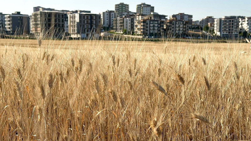 TOPRAK DEĞİL, BETON ÜRETİYORUZ