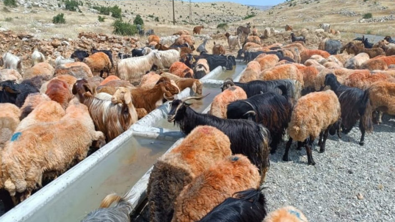 Uzundere Köyünde Hayvanlar İçin 20 Tonluk Temiz Su İmkanı