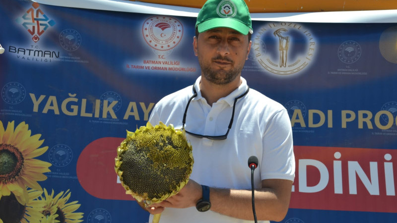 Yağlık Ayçiçeği Fiyatında Artış