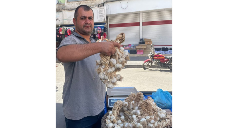 SARIMSAĞIN YANINA YAKLAŞILMIYOR