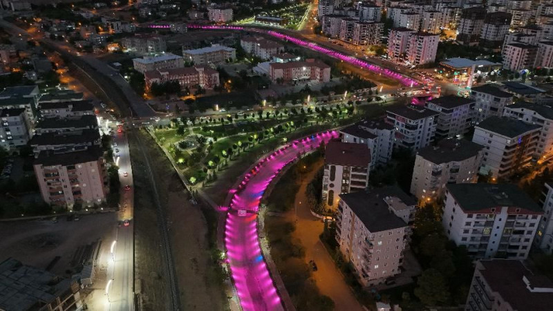 Batman, meme kanseri farkındalığı için pembe ışığa büründü