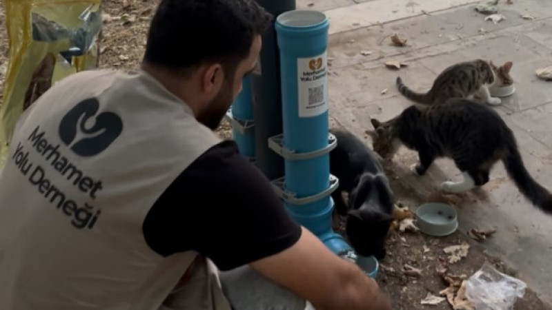 MERHAMET YOLU DERNEĞİ'NDEN KEDİ MAMA VE SU KABI PROJESİ 