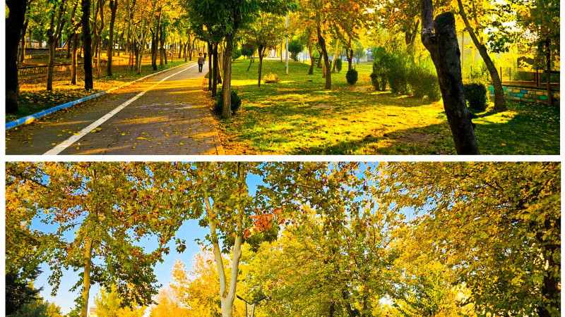 SONBAHAR BATMAN’I SARDI        