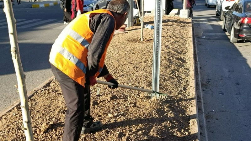 ULAŞIM MÜDÜRLÜĞÜ'NDEN EŞ ZAMANLI AĞAÇ DİKİMİ