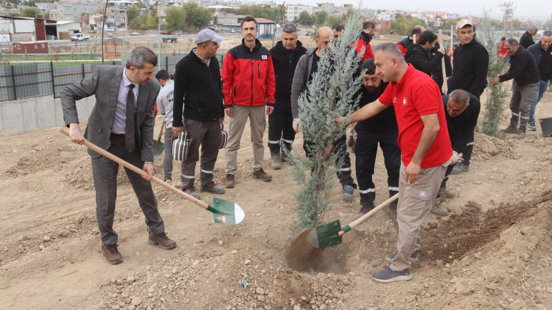 TPAO Batman Bölge Müdürlüğü’nden Yeşil Vatan Seferberliğine 500 Fidan