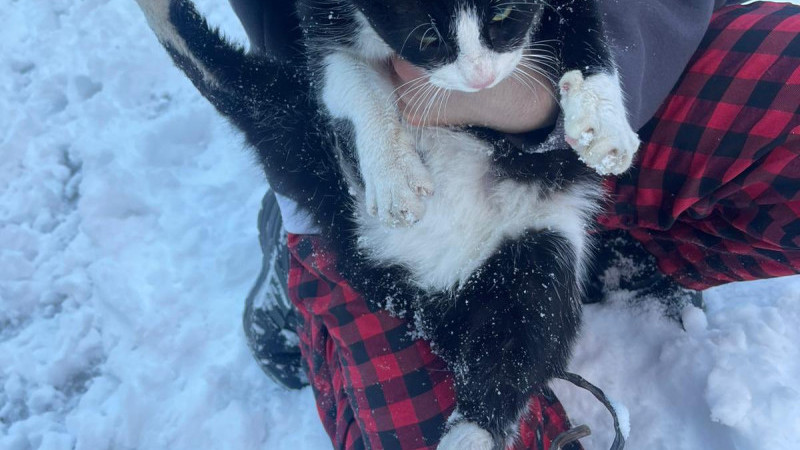 Soğuk havada minik kahraman kurtarma operasyonu