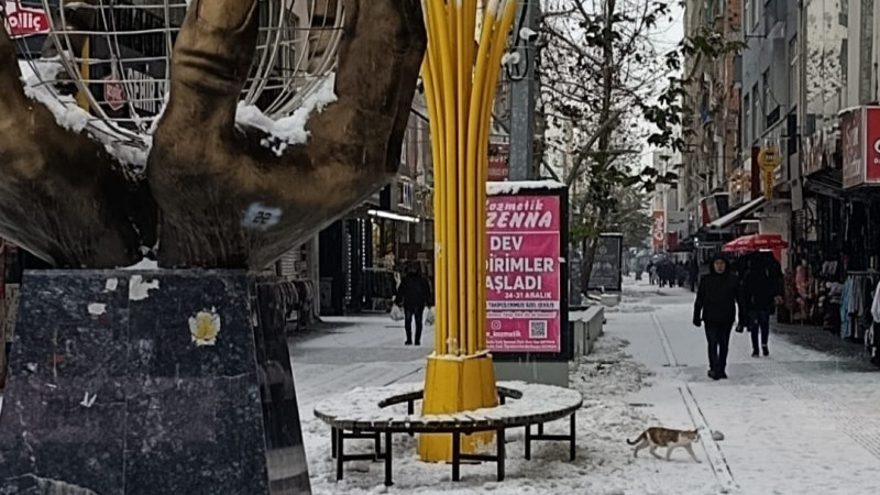 DONDURUCU SOĞUKLAR ESNAF VE PAZARCIYI VURDU