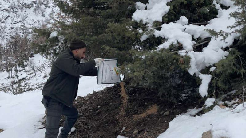 DOĞAYA DESTEK, CANLARA UMUT