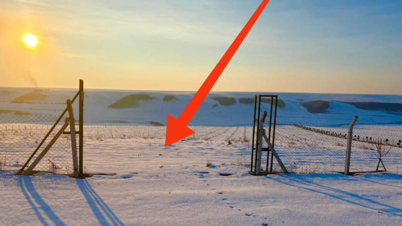 HIRSIZLAR KAR VE SOĞUĞA ALDIRMIYOR