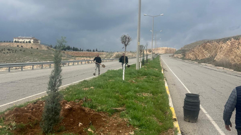 Batman’da 1005 Ağaçlık Yeşil Koridor