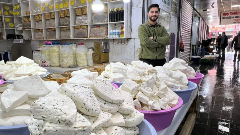 YENİ SEZON PEYNİRLERİ TEZGAHTA