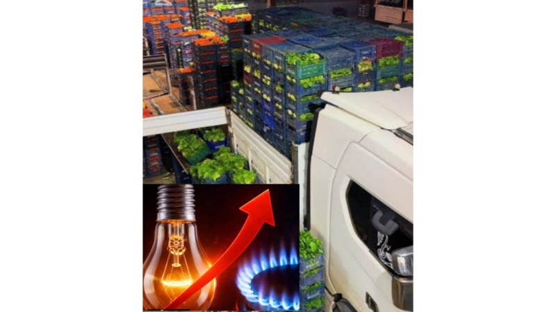 ZAM ZİNCİRİ BÜYÜYOR