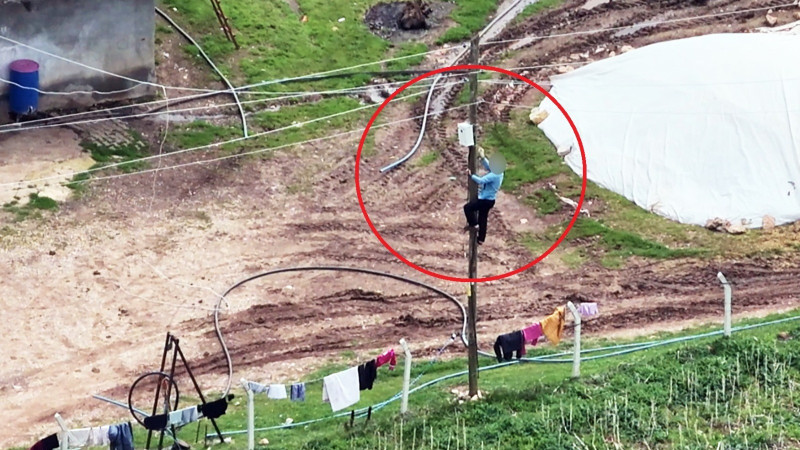 Dronu görünce direğe tırmandı : Kaçak elektrik anbean görüntülendi