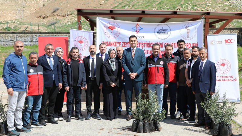 HASANKEYF’TE ZEYTİNCİLİK GELİŞİYOR