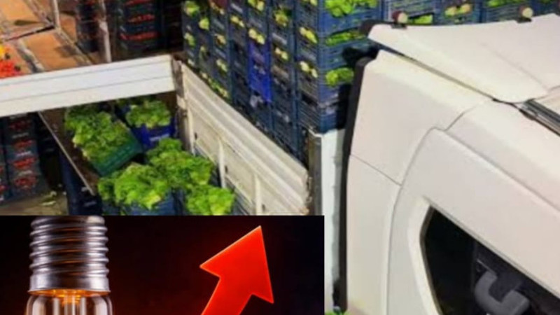 ZAM ZİNCİRİ BÜYÜYOR