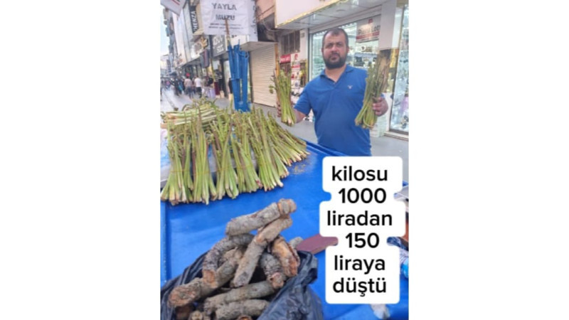 ŞİFA DEPOSU “YAYLA MUZU”NA YOĞUN İLGİ