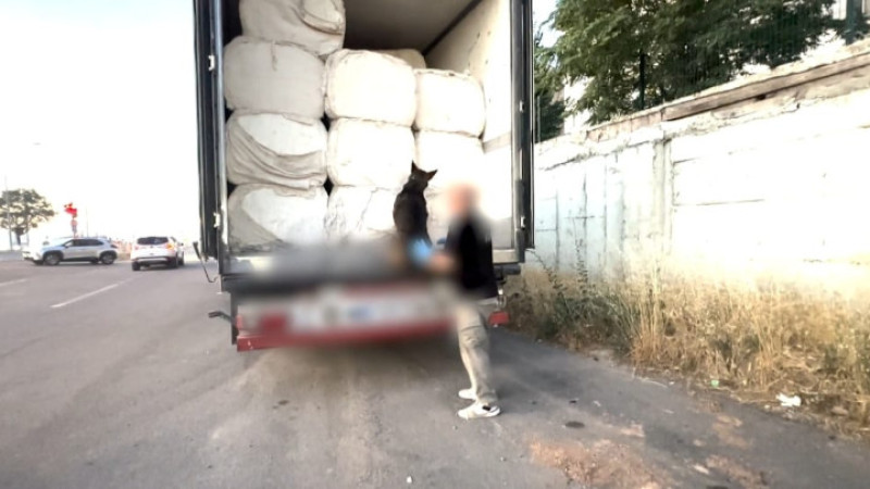 TIRLARLA UYUŞTURUCU SEVKİYATINA DARBE