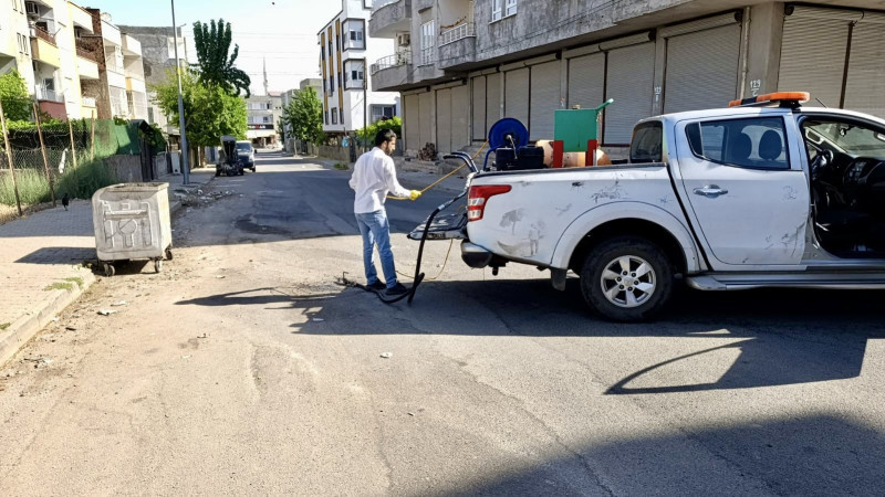 Belediye yaz boyunca haşereyle mücadeleyi sürdürüyor