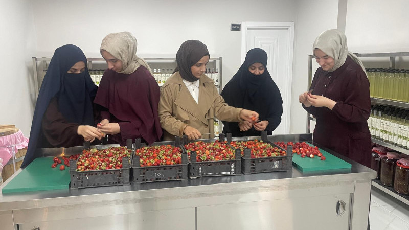 7 KADINDAN 40 ÇEŞİT ORGANİK SİRKE