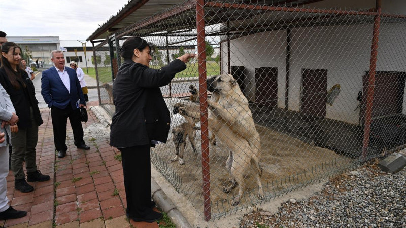 DR. AYTEN CANALP’TEN CAN DOSTLARA YAKIN İLGİ