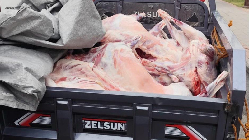 KAÇAK KESİME 52 BİN TL CEZA
