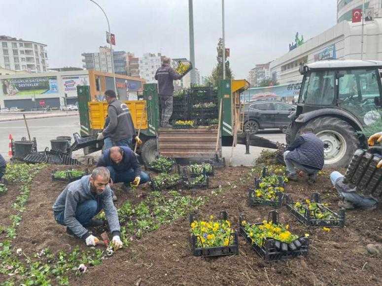 Kışlık çiçek ekimine başlandı
